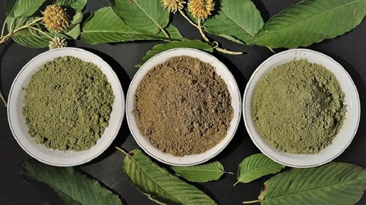 Kratom Powder